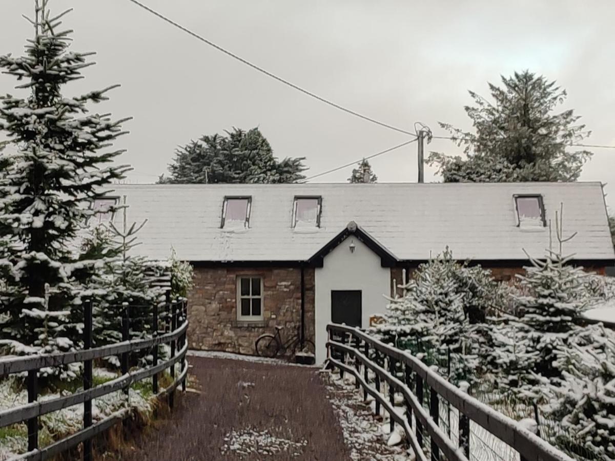 הוילה טראלי The Old House At Belfield מראה חיצוני תמונה