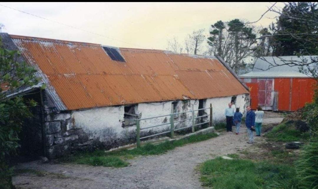 הוילה טראלי The Old House At Belfield מראה חיצוני תמונה